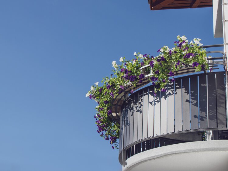 Rundbalkon im Hotel Strela bestückt mit weiss- und lilafarbenen Blumen. | © Davos Klosters Mountains